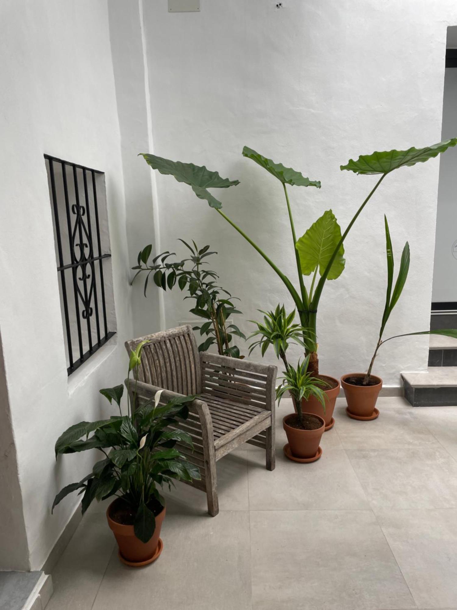 Ferienwohnung Casa Florinda Tarifa Exterior foto
