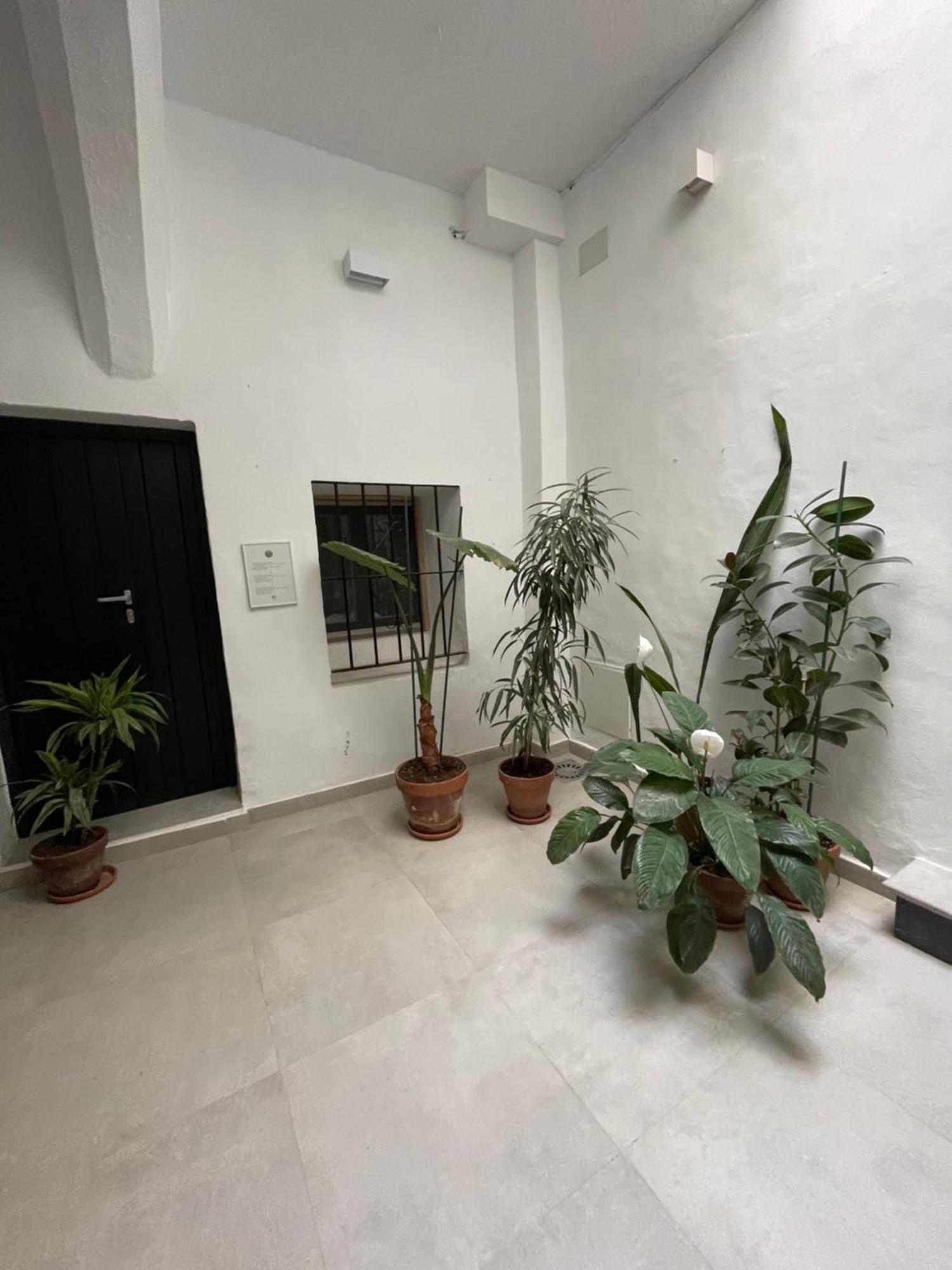 Ferienwohnung Casa Florinda Tarifa Exterior foto